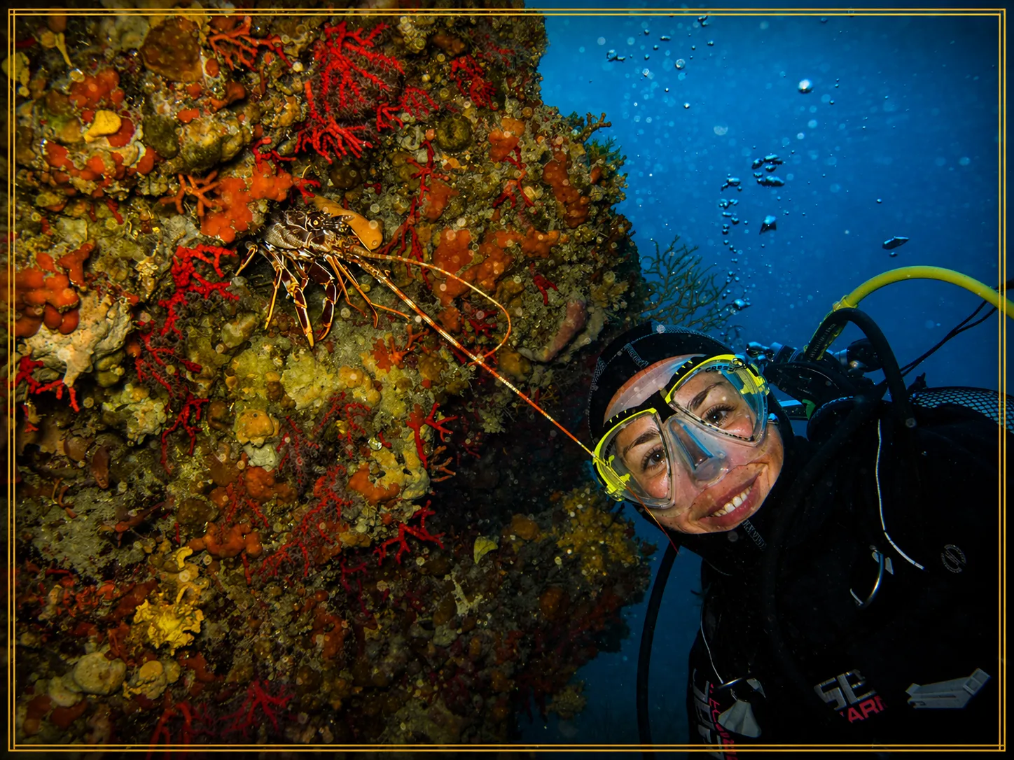 Exploration plongée